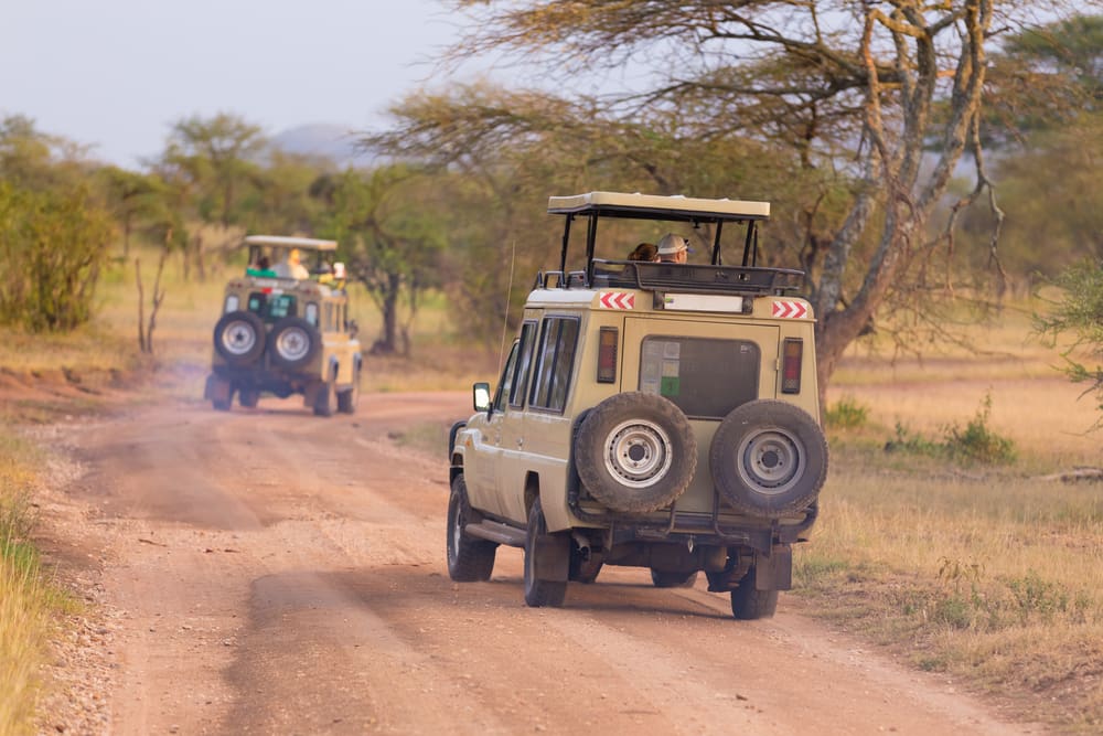 Tipping Tips for Your Ugandan Safari