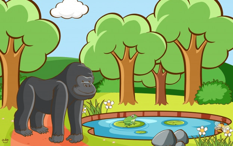 Gorilla tours in Uganda 