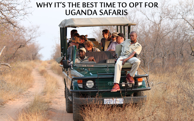 opt for Uganda Safaris