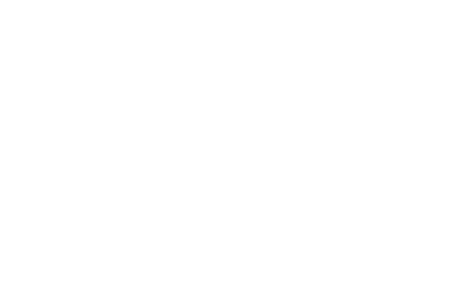 Bushman Safaris