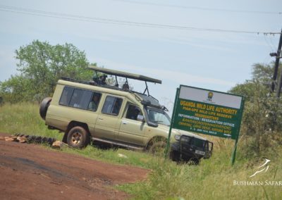 Bushman Safaris Uganda