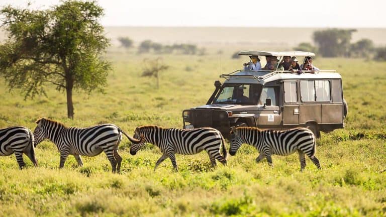 59-Here’s how to make it an Affordable African Safari