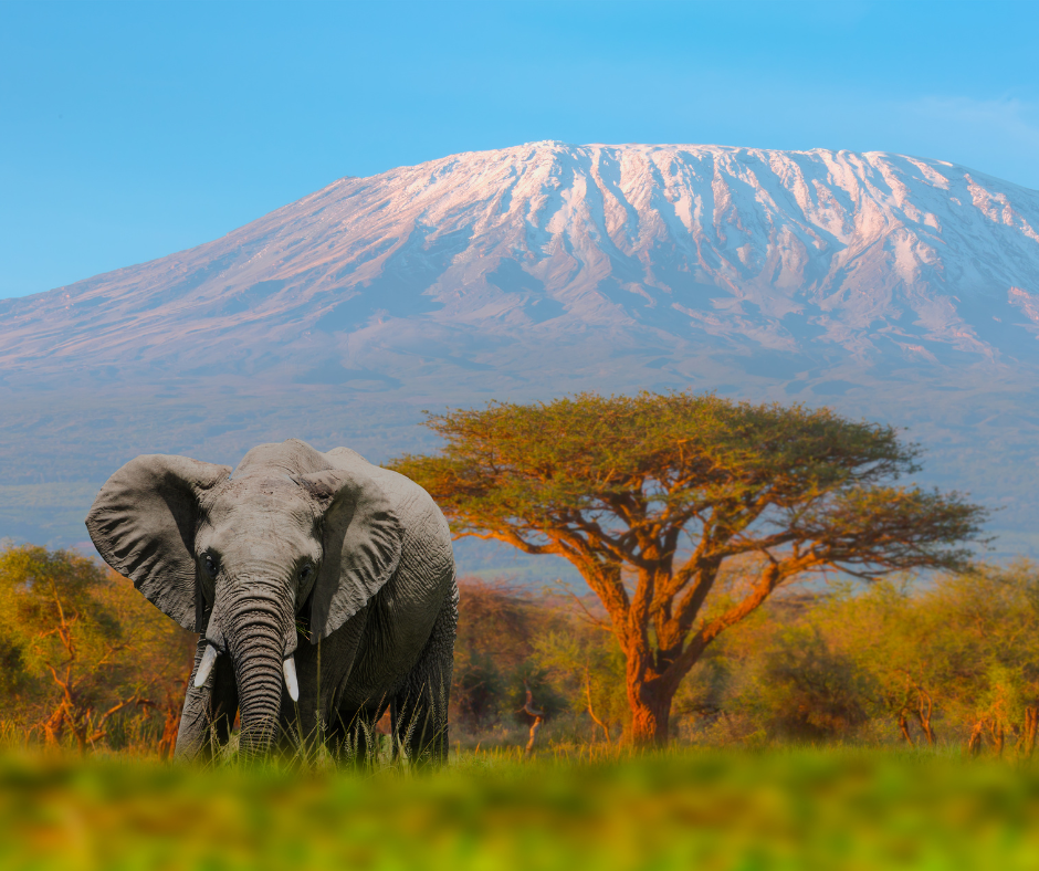 7 Unique Experiences to Have in Tanzania: A Journey Beyond Imagination!