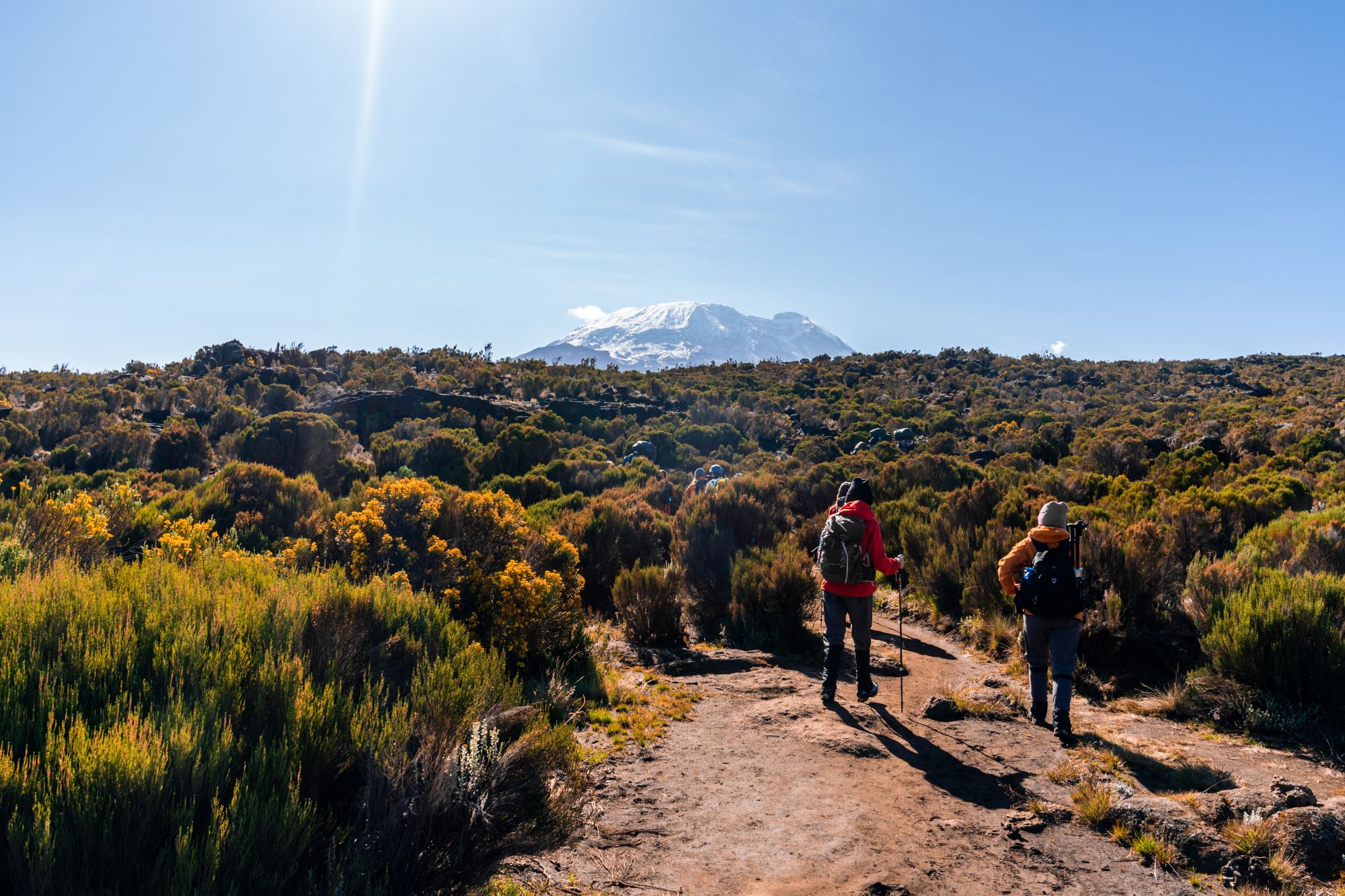 Trails of Mount Kilimanjaro