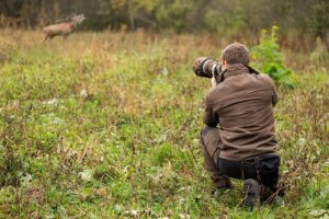 Gear for Wildlife Photography