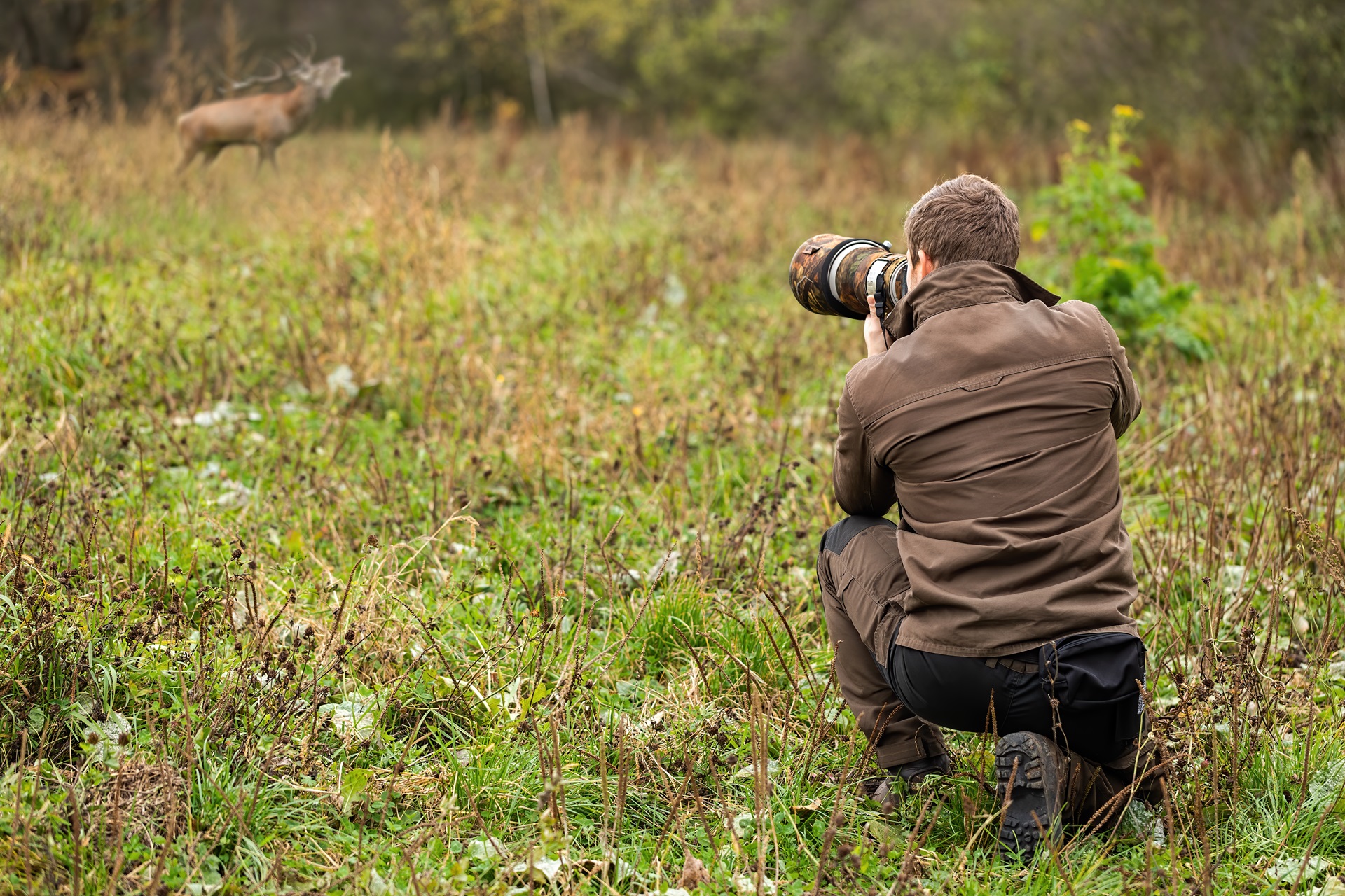 Gear for Wildlife Photography